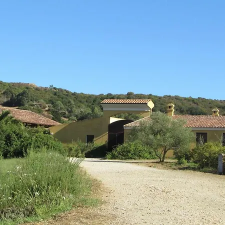 Cavalli Di S'arcaite Santa Lucia (Sardinia)