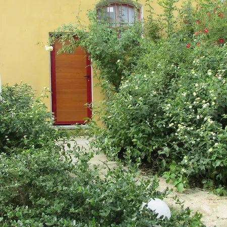 Cavalli Di S'arcaite Bauernhof Santa Lucia (Sardinia)