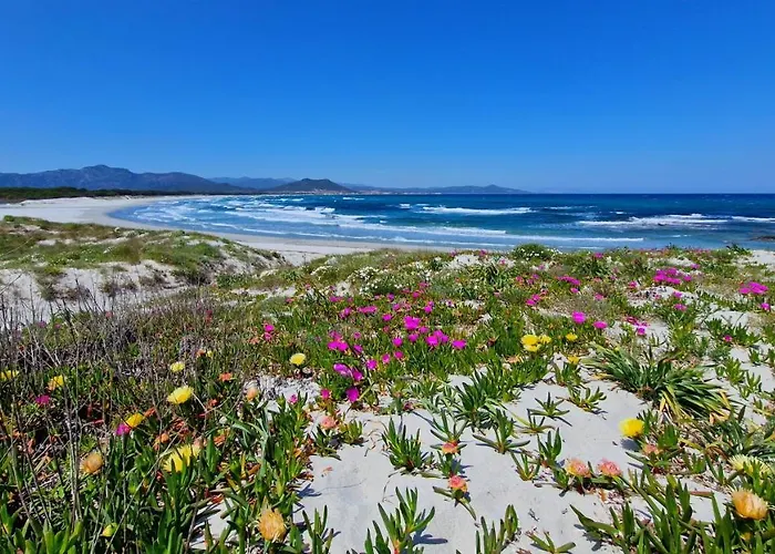 Cavalli Di S'arcaite * Santa Lucia (Sardinia)