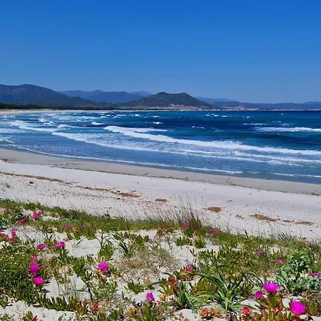 Vakantieboerderij Cavalli Di S'arcaite *