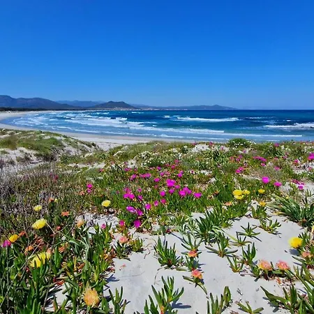Cavalli Di S'arcaite * Santa Lucia (Sardinia)