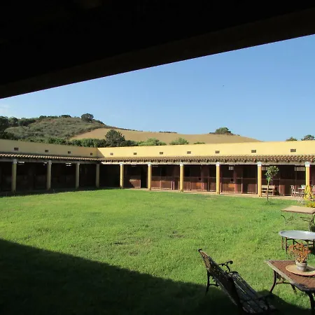 Cavalli Di S'arcaite