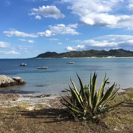 Cavalli Di S'arcaite * Santa Lucia (Sardinia)