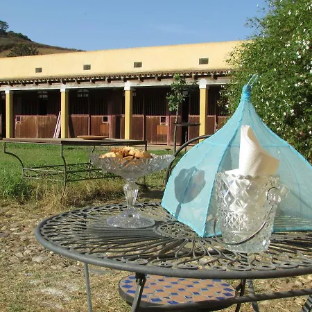 Cavalli Di S'arcaite *