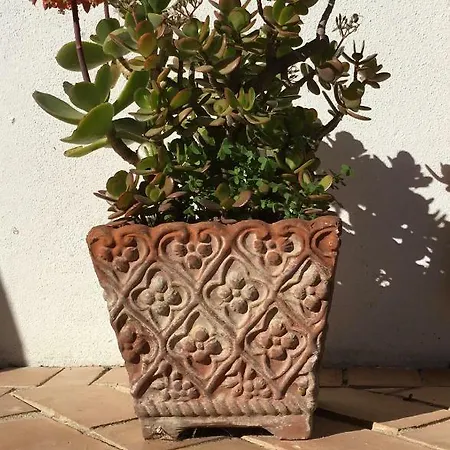 Cavalli Di S'arcaite * Santa Lucia (Sardinia)