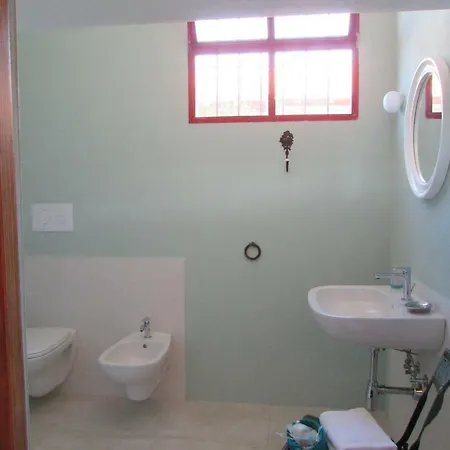 Cavalli Di S'arcaite