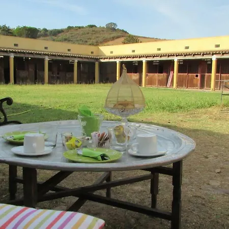 Cavalli Di S'arcaite * Santa Lucia (Sardinia)