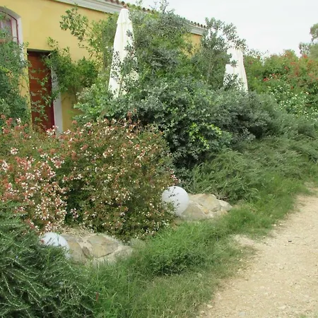 Cavalli Di S'arcaite *