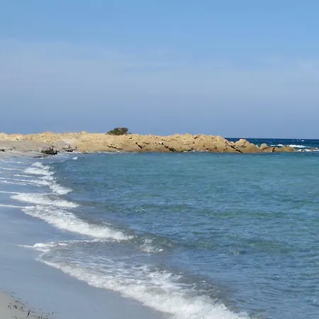Cavalli Di S'arcaite Farma Santa Lucia (Sardinia)