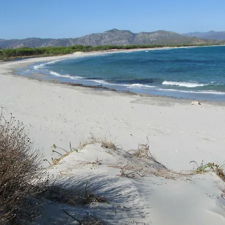 Vakantieboerderij Cavalli Di S'arcaite