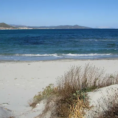 Vakantieboerderij Cavalli Di S'arcaite *