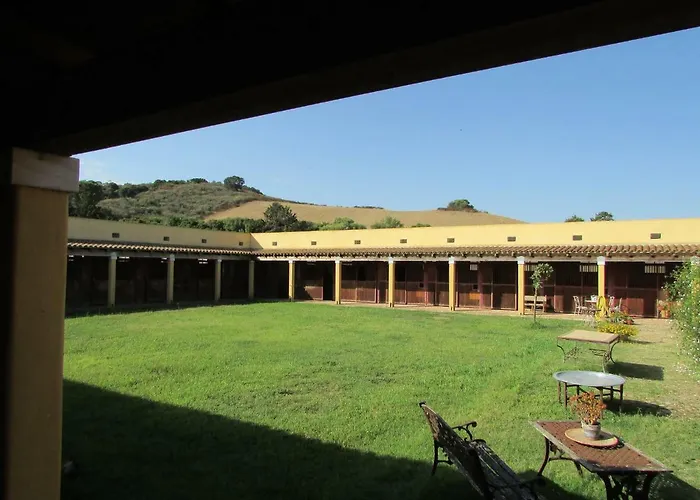 Cavalli Di S'arcaite